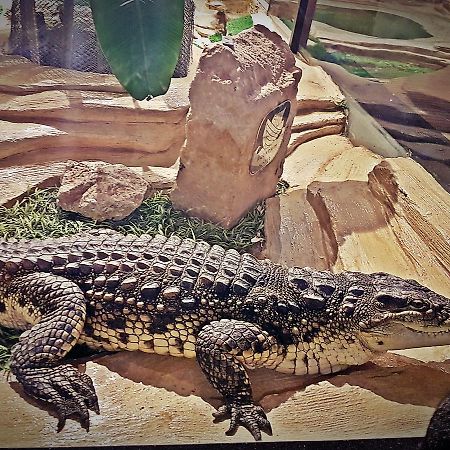 Aquarium Hotel Riyadh Eksteriør billede